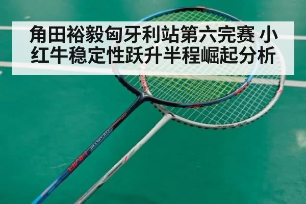 角田裕毅匈牙利站第六完赛 小红牛稳定性跃升半程崛起分析