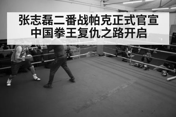 张志磊二番战帕克正式官宣 中国拳王复仇之路开启