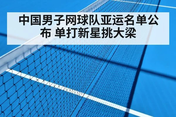 中国男子网球队亚运名单公布 单打新星挑大梁
