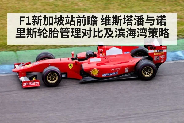 F1新加坡站前瞻 维斯塔潘与诺里斯轮胎管理对比及滨海湾策略